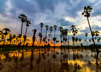 Cambodia-Countryside-1