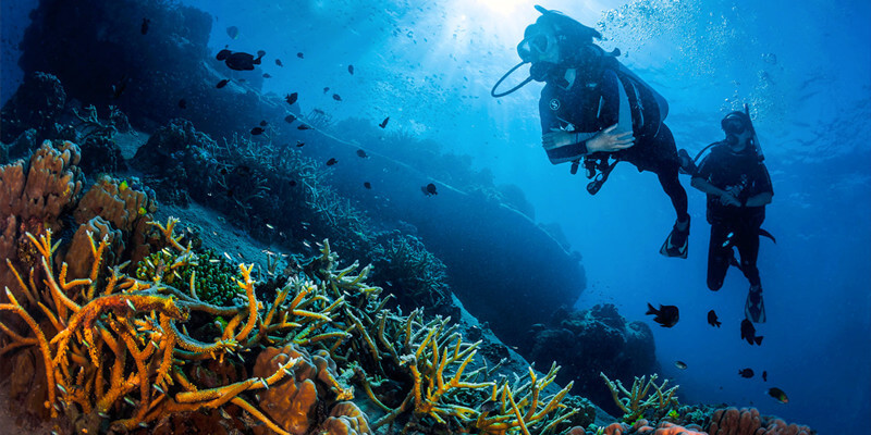 Diving-in-Koh-Tao