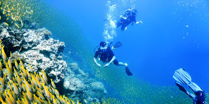 Diving-in-Phi-Phi-Islands