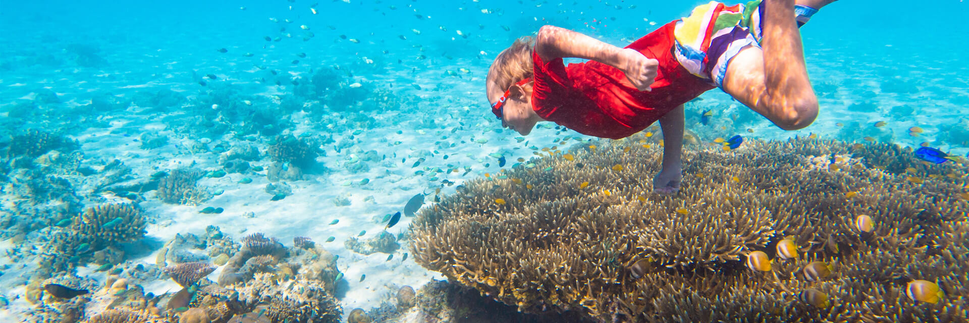 Snorkeling-Kids-in-Phi-Phi-Island