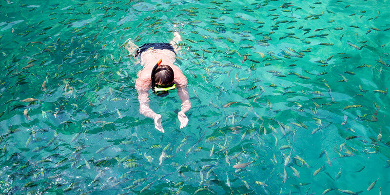 Snorkeling-in-Hin-Klang