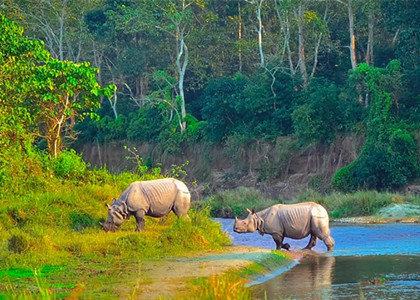 Chitwan-National-Park