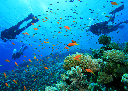 Diving-in-Malaysia