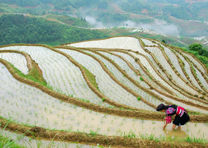 longji rice terraces