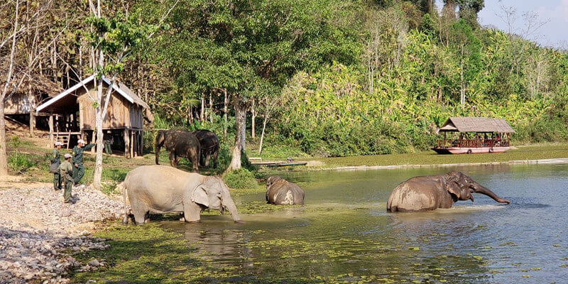 Elephant Conservation Center