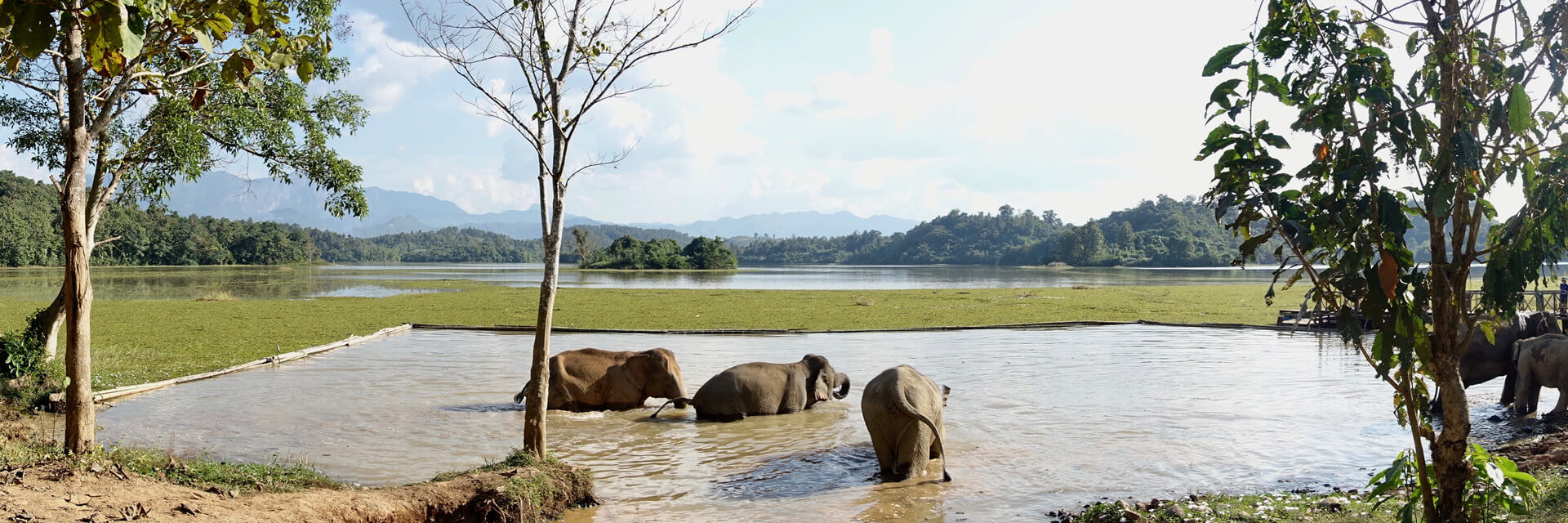 Luang Prabang Spirit & Elephants