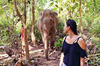 Luang Prabang Spirit & Elephants
