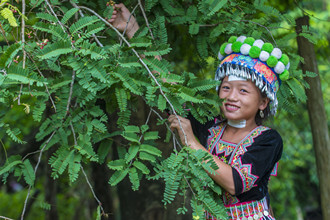 Northern Laos Trekking Tour