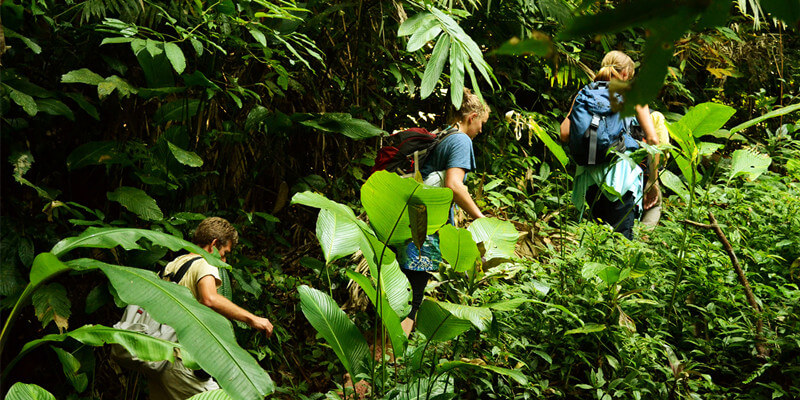 Nam Ha National Protected Area