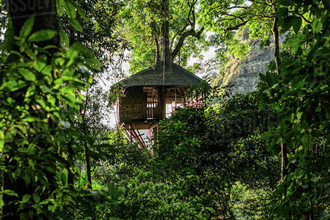 Tree House in Pakse 2