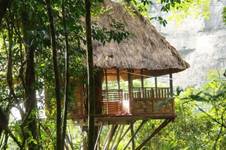 Tree House in Pakse 3