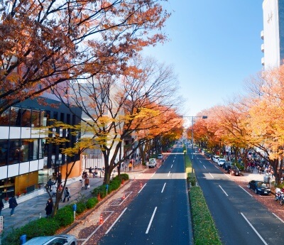 Omotesando