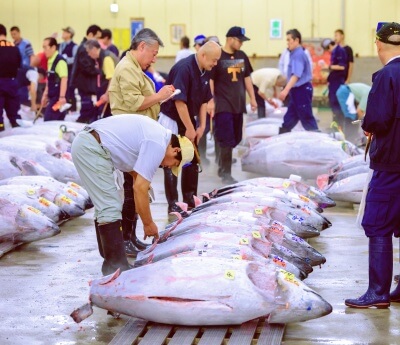 Tsukiji Fish Market