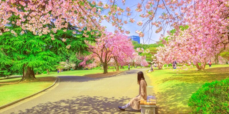 Shinjuku Gyoen Garden