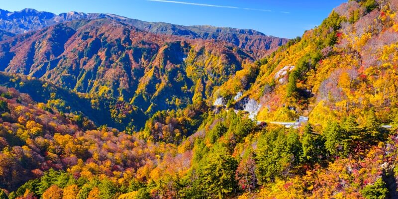 Hakusan Shirakawa-go White Road