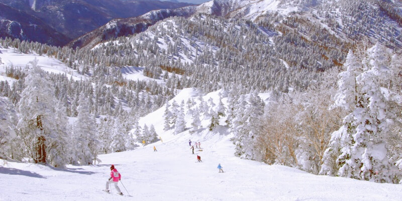 Shiga Kogen Ski Area