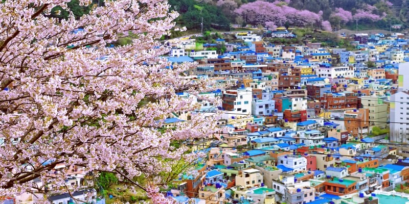 Gamcheon Culture Village