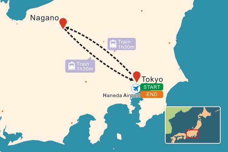 winter-ski-snow-monkey-in-shiga-kogen