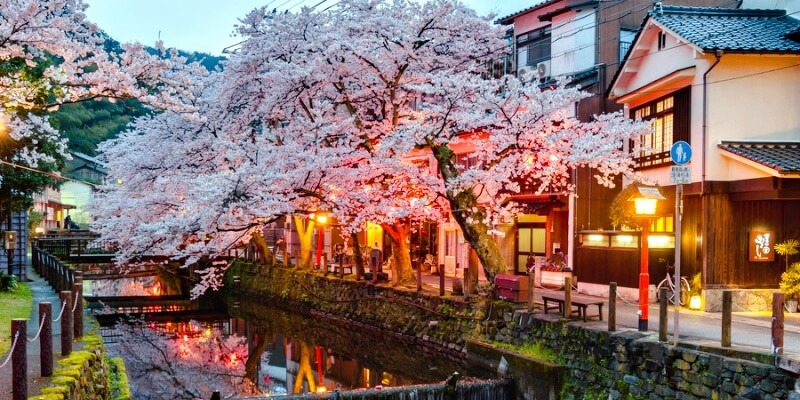Kinosaki-Onsen-in-cherry-blossom-season