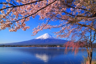 mount-fuji