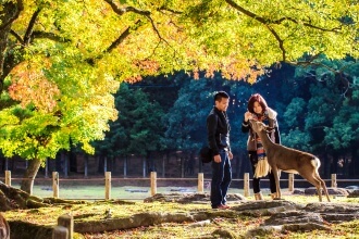 nara-japan