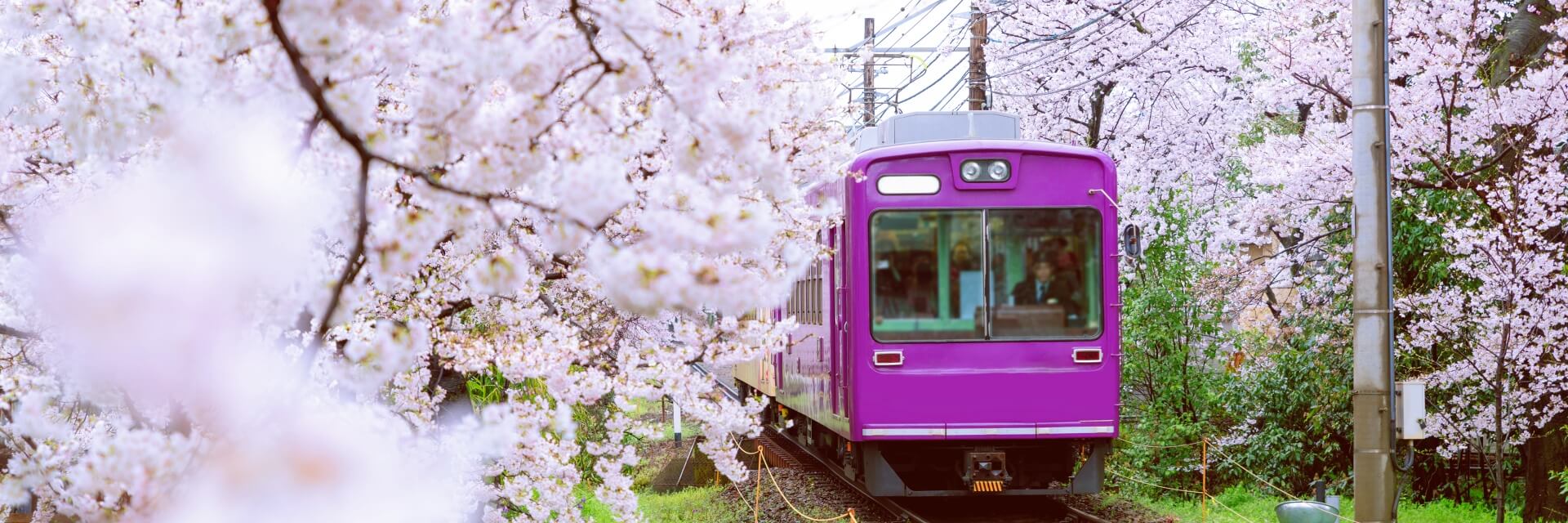 japan-travel
