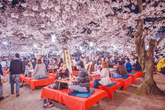 hanami-festival