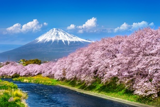 fuji-spring