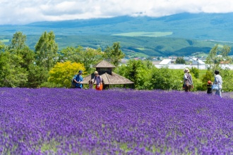 furano-japan