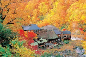 japan-autumn