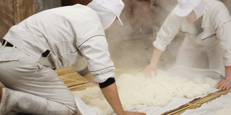 brewing-sake-from-fermented-rice