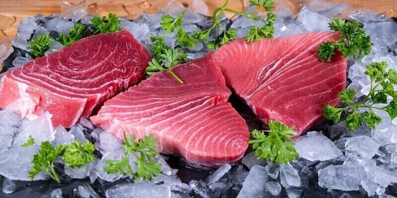 bluefin-tuna