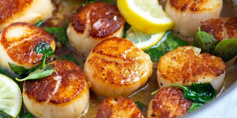 perfect-seared-scallops