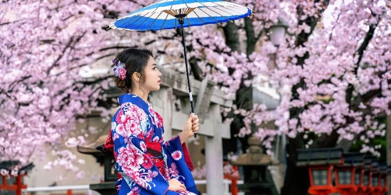 cherry-blossoms-viewing-in-kimono