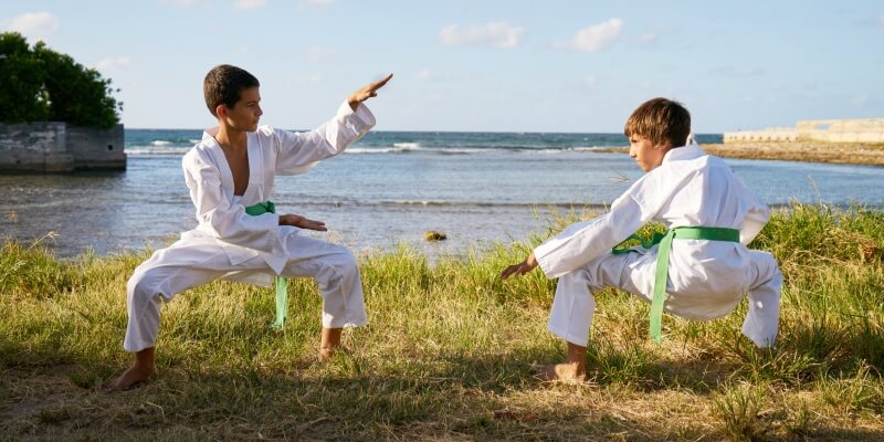 boys-in-kimono-fighting