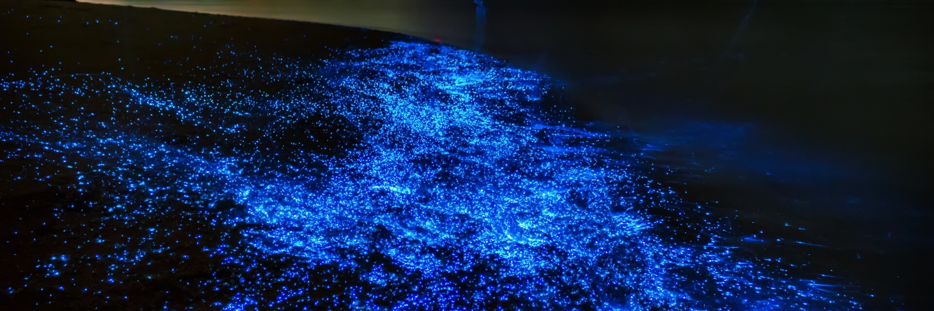 glowing-beach-thailand-1