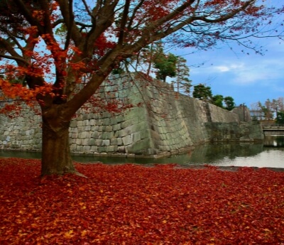 Fukuoka Castle Ruins