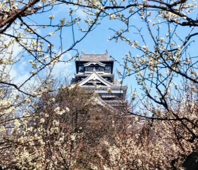 Kumamoto Castle