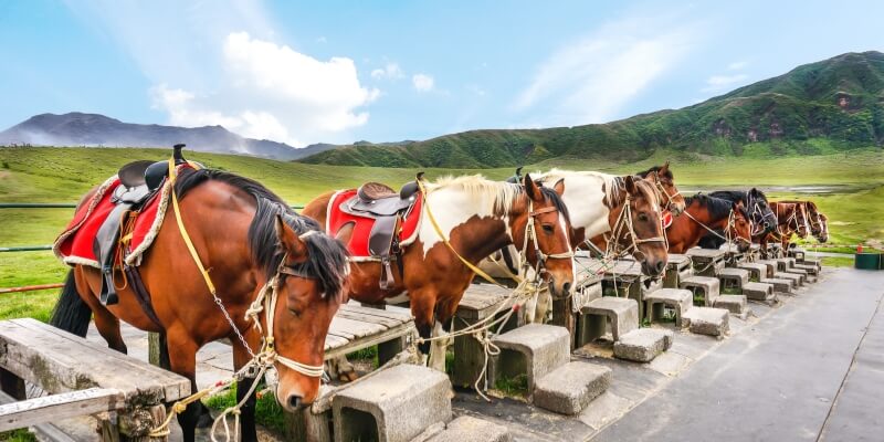 Kusaikiri Observation Deck