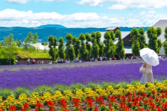 Tomita-Farm-2
