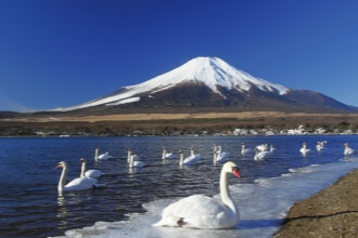 japan-autumn