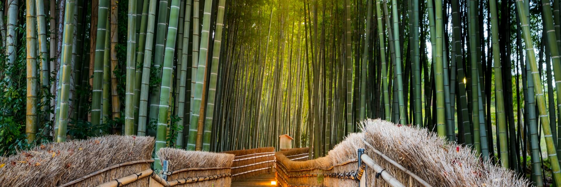 Arashiyama-Bamboo-Forest
