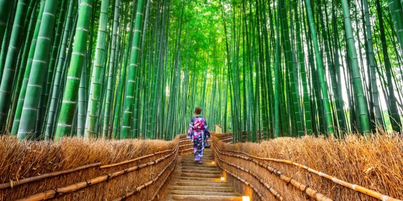 Arashiyama-Bamboo-Grove