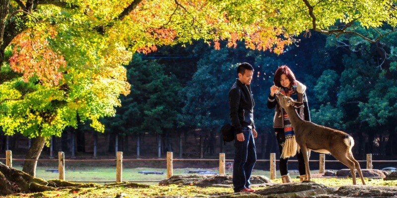 Nara-Part-At-Fall