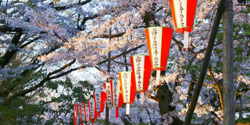 Cherry-blossom-festival-at-Ueno-Park-Tokyo
