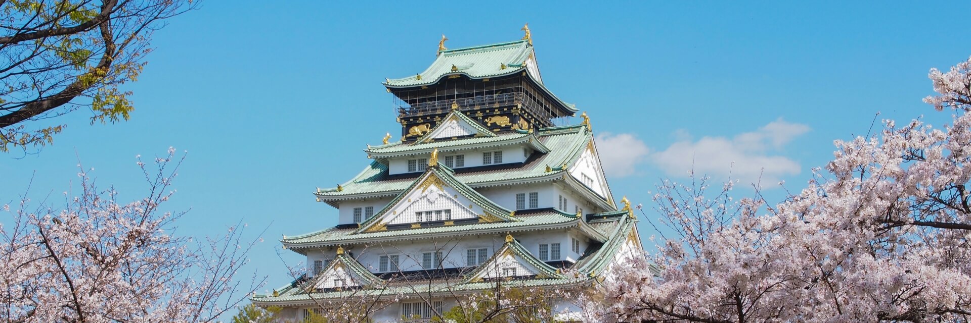 Nagoya-Castle
