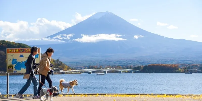Lake Kawaguchiko
