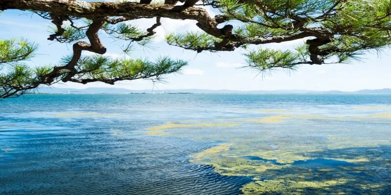 Lake Biwa Cruise